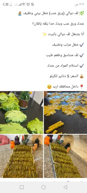 عندك ورق عنب وبدك حدا يلفه بإتقان  أنا بشتغل لف دوالي بالبيت
