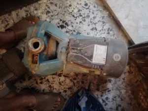 مضخة مياه كهرباء 220 النوع ليو