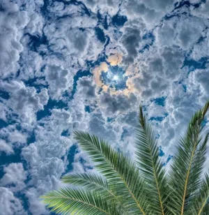ابو عمر 