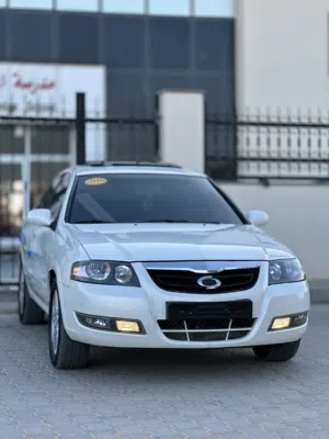 2010  Sm3فل N20