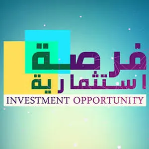 Investment projects . New1