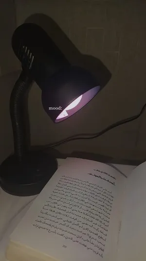 Interior Lighting . New1