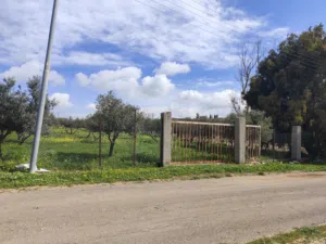 Residential Land for Sale in Amman Naour