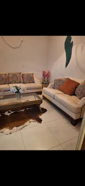 sofa for sale home center