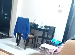 طاوله طعام