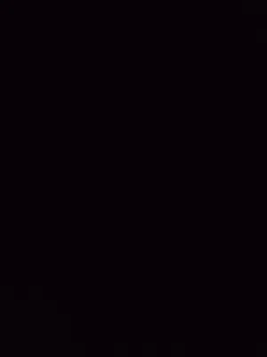 زوج طيور بادجي لون ازرق واخضر