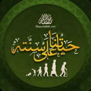 member161542032156 ابوجناح