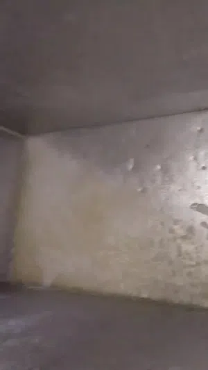 فريزر مستخدم مثل ما بالصور الإتصال بصاحبه  مكلف بالنشر السعر يمه خابره وتدلل مكان تنومه شط العرب
