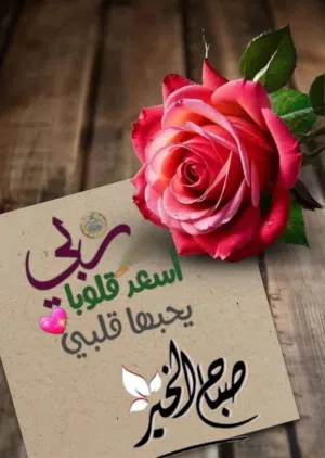 نشتري المواد الغذائية والاستهلاكيه اي كم