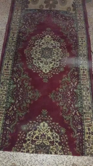 عبد الحي 