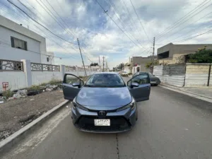 تويوتا كورلا 2020 ()