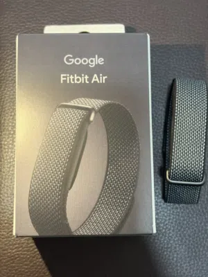 Google Fitbit Air