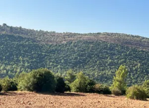 Farm Land for Sale in Jerash Sakib