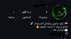 Social Media Accounts and Characters for Sale in Sharjah