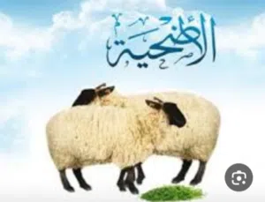 قصاب لذبح الاضحية