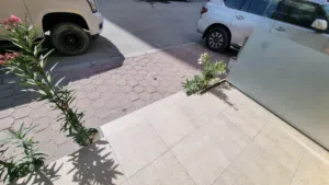 Monthly . 40 m22