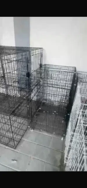اقفاص للبيع