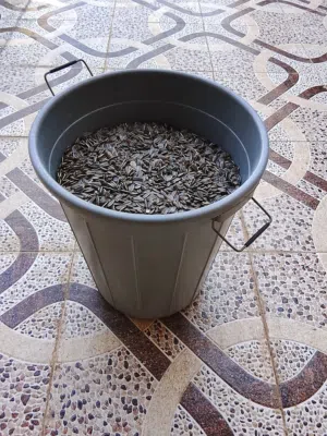 حب طيور للبيع