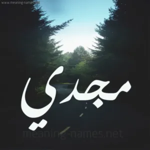 مجدي ابراهيم الحمامدة 