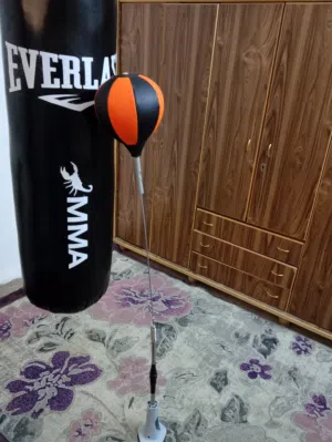 كيس ملاكمه مع كلفز مع انجاصه