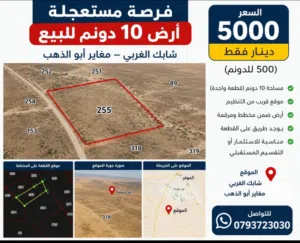 ارض استثماريه للبيع بسعر لقطه اقل من التخمين تصلح لمزرعه أو حظيره اغنام أو للاستثمار الطويل