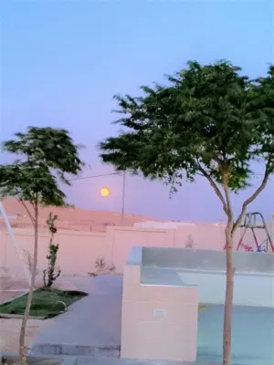 مزرعة للبيع في اجمل مناطق بلعما الزيتونة