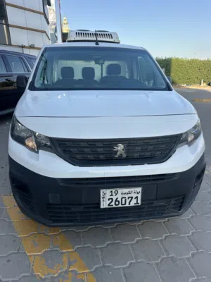Sal Pejot 2020 box