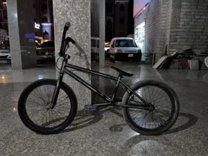 Half custom dk bike for sale