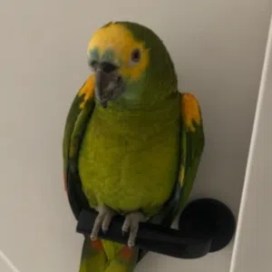 Wأn0 