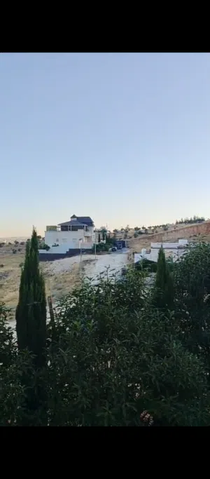 أرض للبيع في أم رمانه شارعين حد شفا بدران مميزه جدا مزروعة وجاهزة