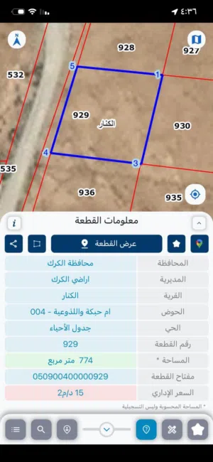 أرض داخل التنظيم تبعد عن الشارع الرئيسي 200 صخرية
