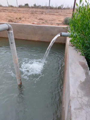 مزرعة هكتار ونص جنوب الزاويه