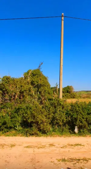 Farm Land for Sale in El Jadida Route Jorf lasfar