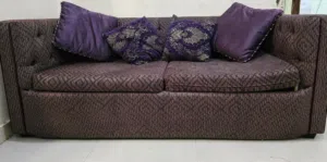 2-in-1 Sofa Cum Bed