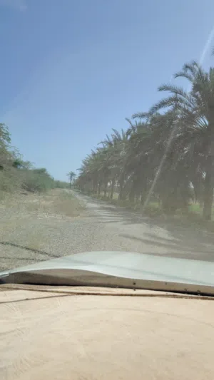 تابببب تلبىى