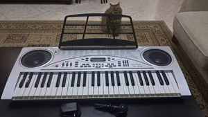 Piano & Keyboards . New2