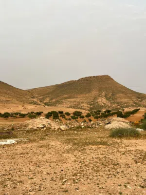 قطعة ارض للبيع وادي الربيع