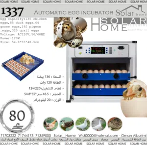 فقاسة بيض اتوماتيك