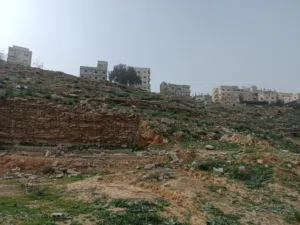 Residential Land for Sale in Amman Tabarboor