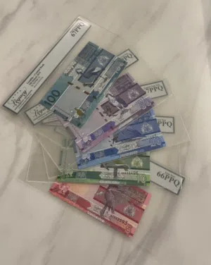 Gambia 2019 Banknote Set – Graded Gem New