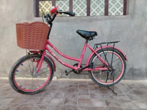 بايسكل (دراجه هوائيه) للبيع  حگ الجيه وحجم 22