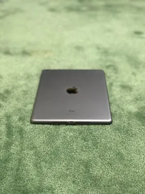 Apple I pad mini 2