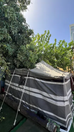 خيمه سدو للبيع