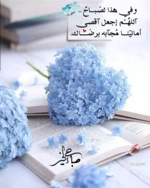 الصليبيه مطلوب بيت للاجار للايجار مطلوب بيت بالصلببيه