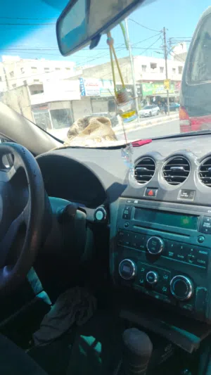 Used Nissan Altima in Irbid