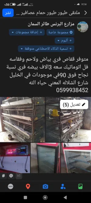 فقاسه واقفاص