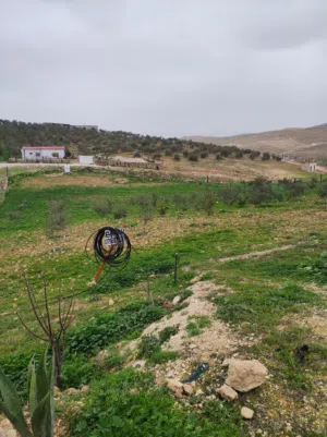 Farm Land for Sale in Mafraq Bala'ama
