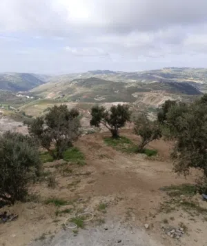 Residential Land for Sale in Amman Mahes