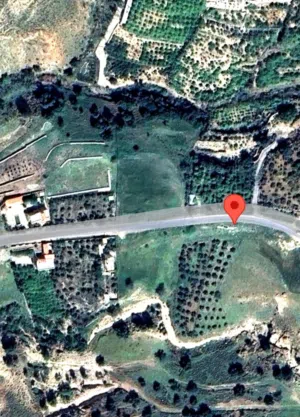Farm Land for Sale in Amman Mahes