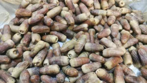 تمر نغال جريجو حبة كبيرة